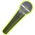 006_mic